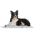 LifeGuard Grounding Pet Bed *