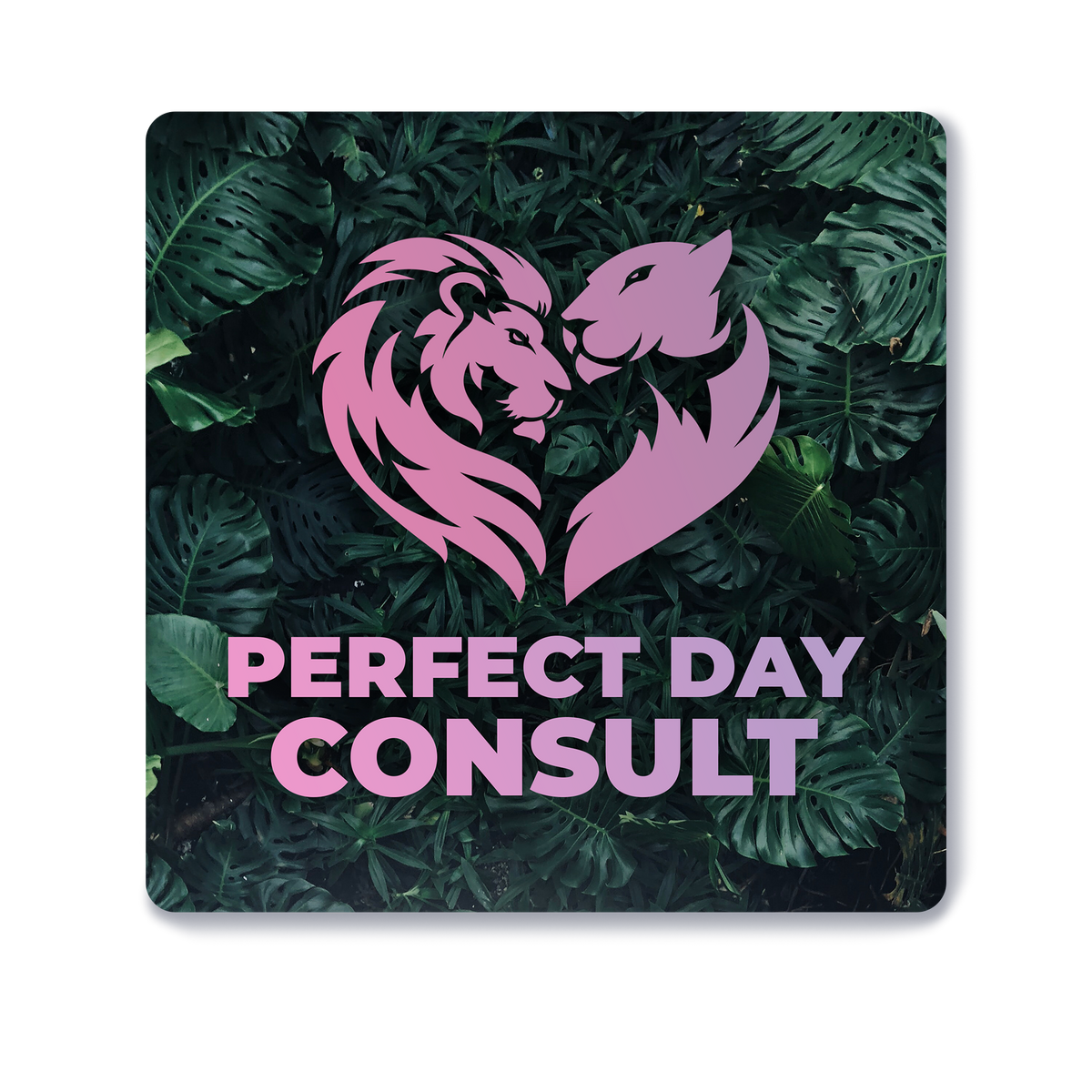 Perfect Day Consultation