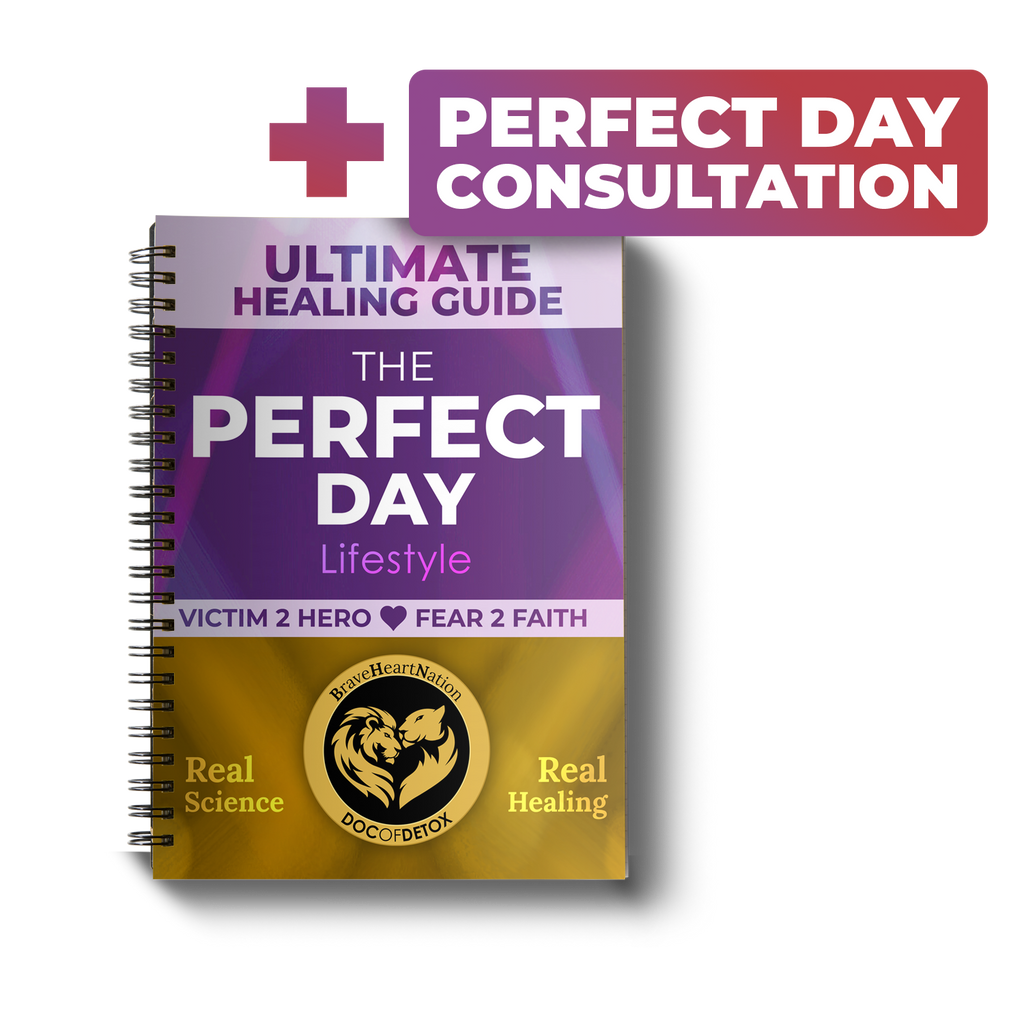 Ultimate Healing Guide - The Perfect Day Lifestyle (printed)*