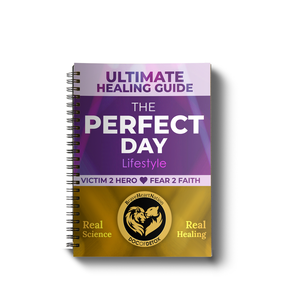 Ultimate Healing Guide - The Perfect Day Lifestyle (printed)*