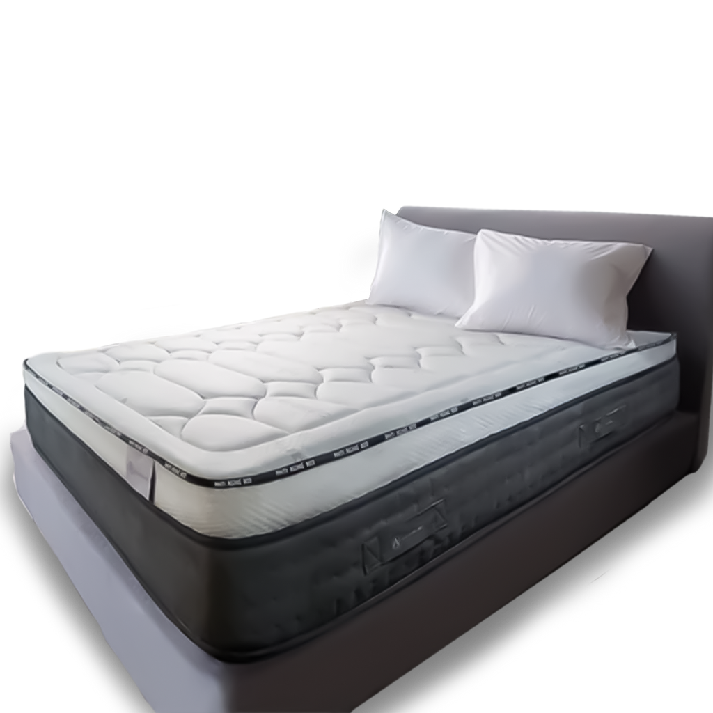 LifeGuard Grounding Biohacking Mattress *